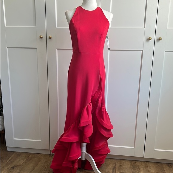 Betsy & Adam Dresses & Skirts - Betsy Adams Hot Pink Ruffled Gown | 4
